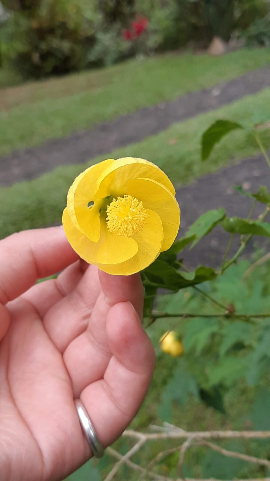 Flor 3